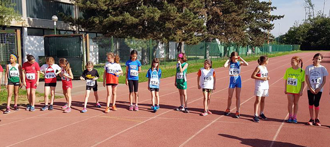 <br />
<b>Notice</b>:  Undefined property: stdClass::$helix_ultimate_image_alt_txt in <b>/home/fidal2013/public_html/archivio/plugins/system/helixultimate/overrides/layouts/joomla/content/full_image.php</b> on line <b>57</b><br />
