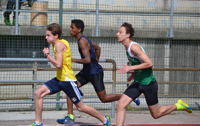 <br />
<b>Notice</b>:  Undefined property: stdClass::$helix_ultimate_image_alt_txt in <b>/home/fidal2013/public_html/archivio/plugins/system/helixultimate/overrides/layouts/joomla/content/full_image.php</b> on line <b>57</b><br />
