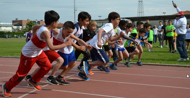 <br />
<b>Notice</b>:  Undefined property: stdClass::$helix_ultimate_image_alt_txt in <b>/home/fidal2013/public_html/archivio/plugins/system/helixultimate/overrides/layouts/joomla/content/full_image.php</b> on line <b>57</b><br />
