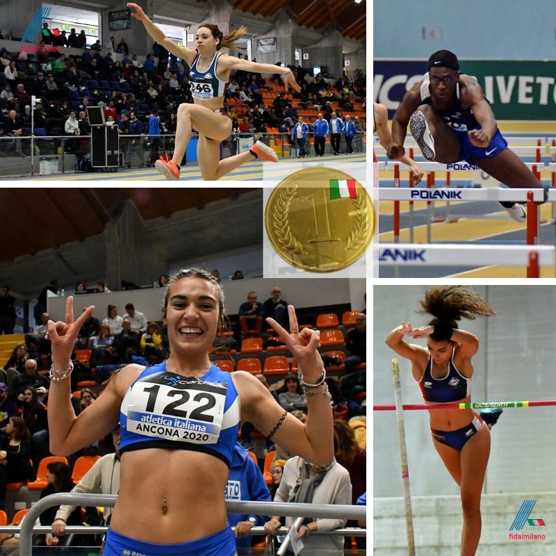 indoor-multiple_naz2020