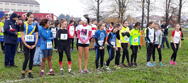 <br />
<b>Notice</b>:  Undefined property: stdClass::$helix_ultimate_image_alt_txt in <b>/home/fidal2013/public_html/archivio/plugins/system/helixultimate/overrides/layouts/joomla/content/full_image.php</b> on line <b>57</b><br />
