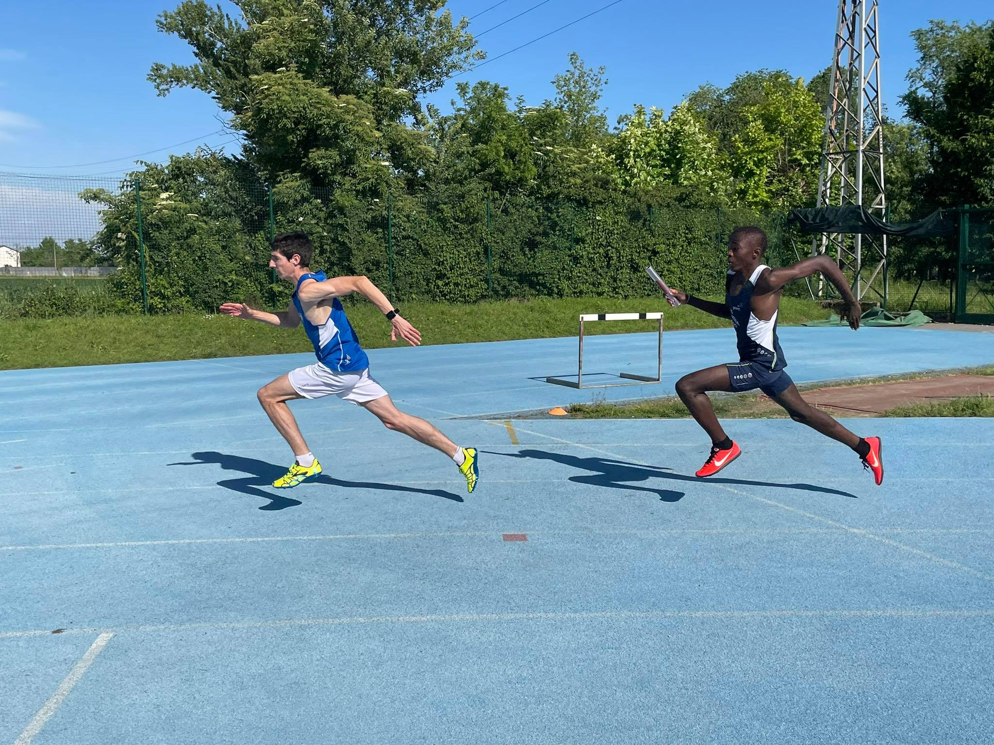 cadette siepi sidenius