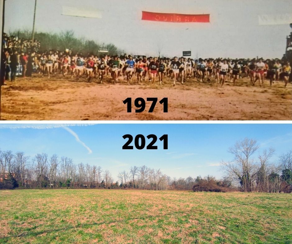 cesano 50 italiani campestre