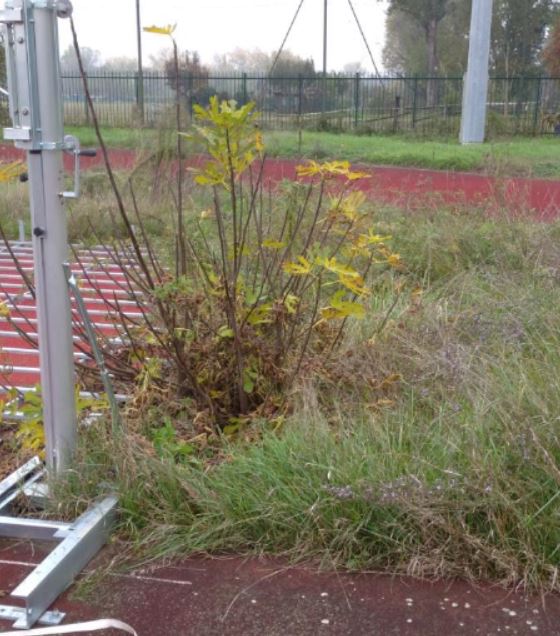 Carraro situazione 2020