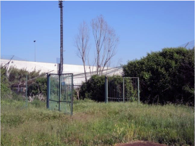 carraro situazione2020