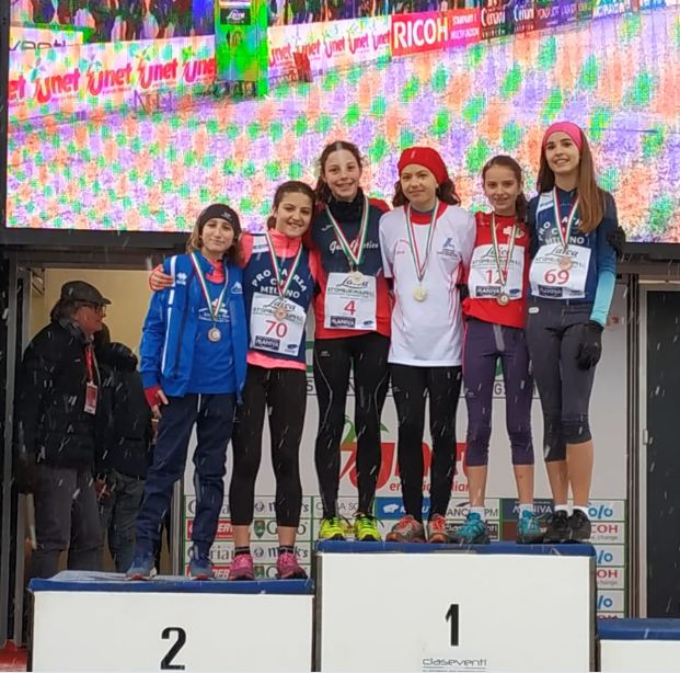 prov cross2019 RagF2