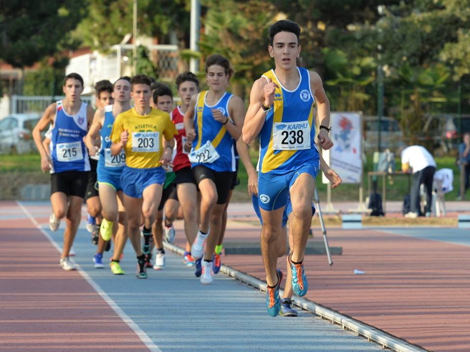 tiziano marsigliani busto Piazzi