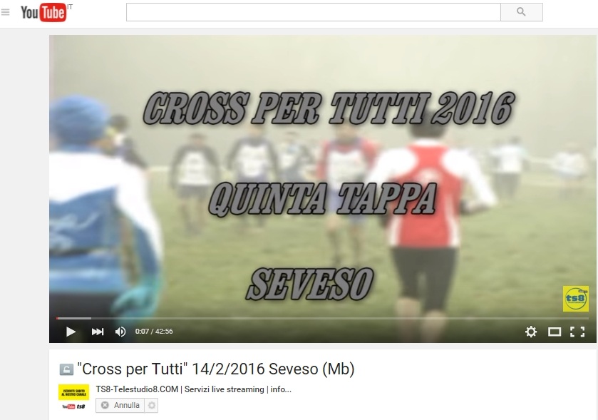 Seveso YouTube
