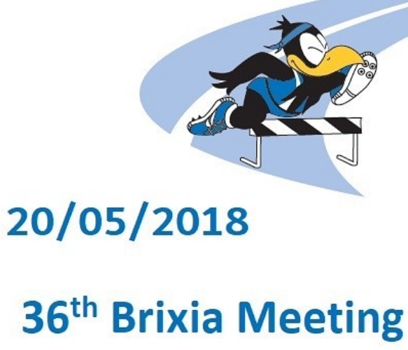 brixiameeting logo